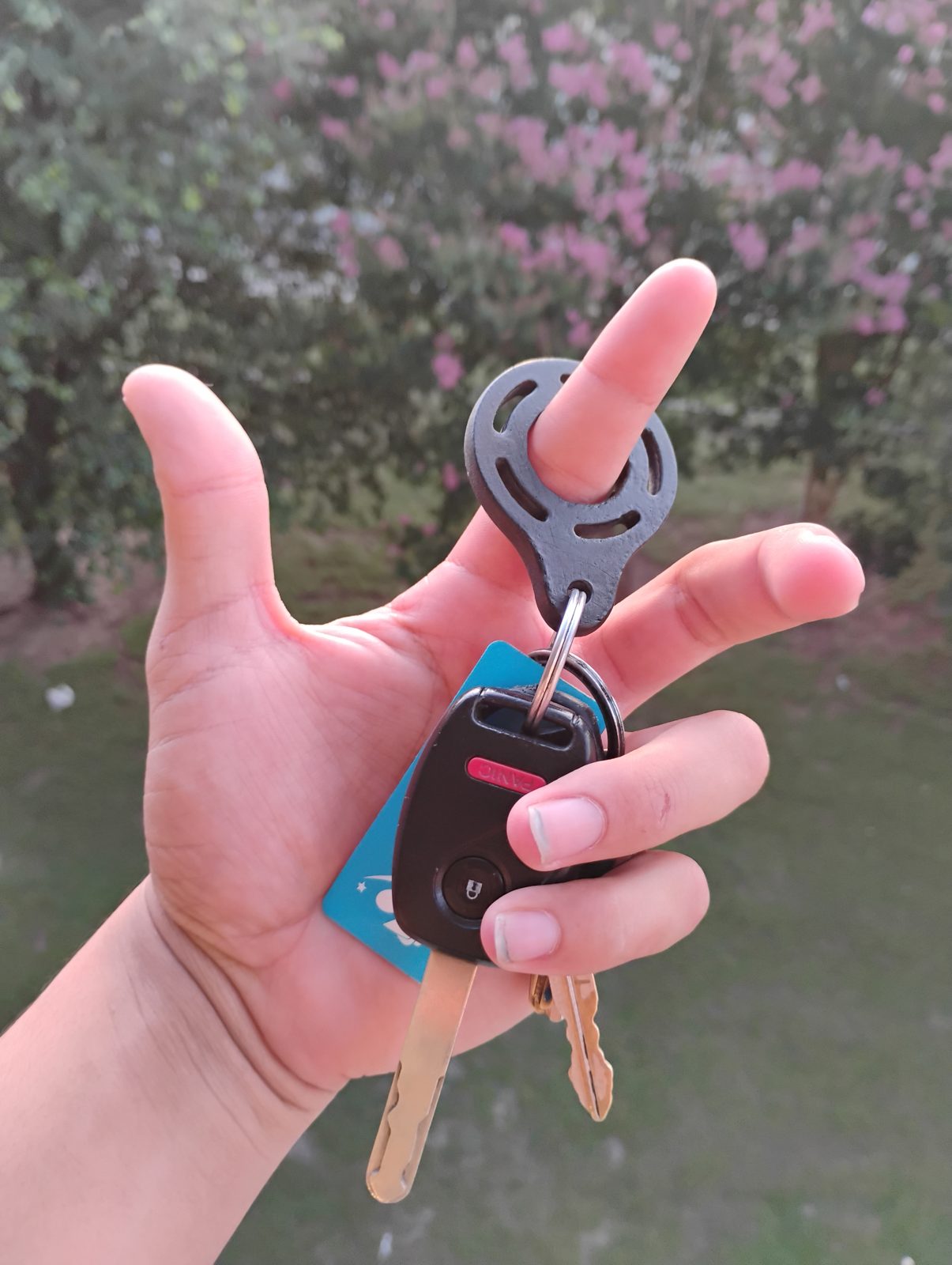 Cloudial in hand